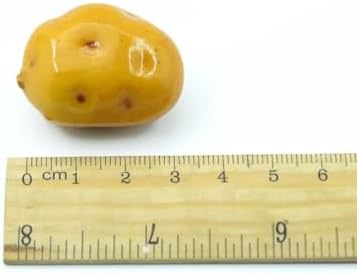 Artificial Fruits for Home and Wedding Decor 10Pcs