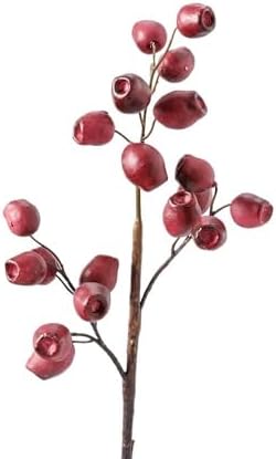 Eucalyptus Artificial Fruit Decorations - Wine Red Zombie Style