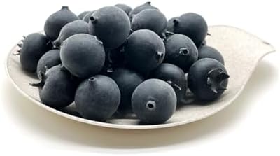 Aliotech 25pcs Artificial Blueberries for DIY Craft Decoration