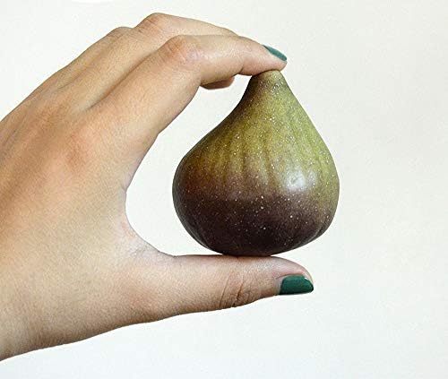 6Pcs Artificial Fig Lifelike Home Decoration