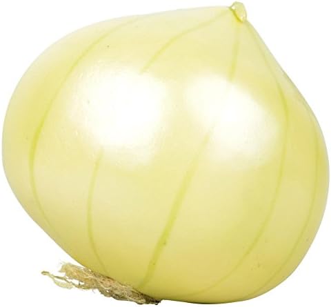 Fallen Fruits Artificial Onion Orange