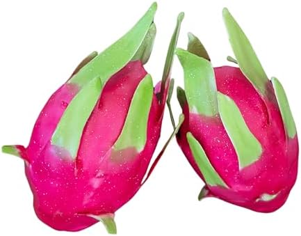Lashicorn Artificial Dragonfruit Decor 2 Pack 1