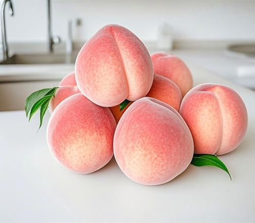Jilukibo Realistic Artificial Peach Set of 6
