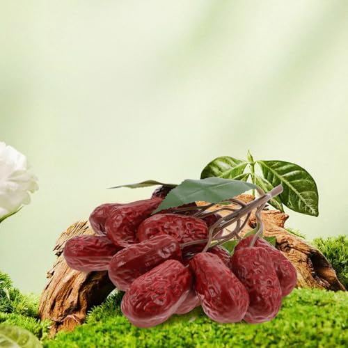 Realistic Red Dates Artificial Fruit Decorations