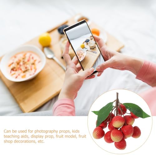 HOMSFOU Realistic Artificial Lychee Fruit Model