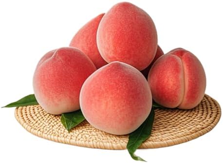Jilukibo Realistic Artificial Peach Set of 6
