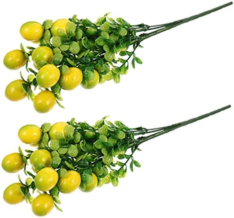 Zerodeko 2pcs Artificial Fruit Branches for Home Decor