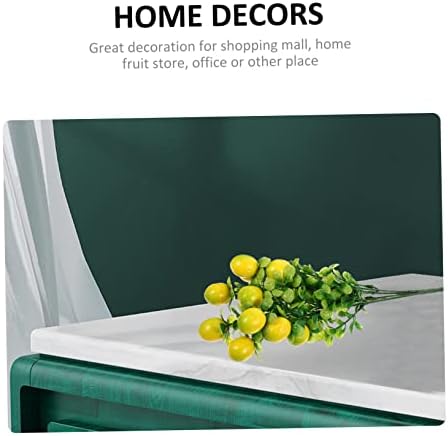 Zerodeko 2pcs Artificial Fruit Branches for Home Decor