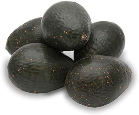 Realistic Artificial Avocado Decor Set of 5
