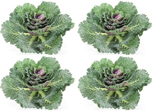 Admired By Nature Artificial Cabbage Set