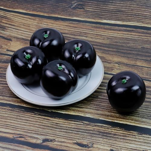 HEVSTIL 8PCS Artificial Black Brin Plum Decor