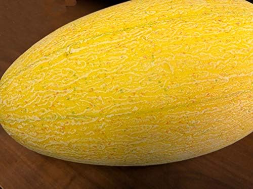 Artificial 9 Inch Yellow Honey Dew Melon Decor