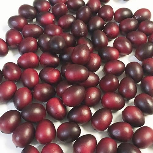 200 Pcs Christmas Artificial Cranberries for Decor