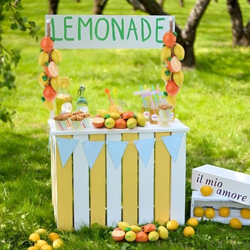 Woration Ceramic Fruit Hanging Decor String