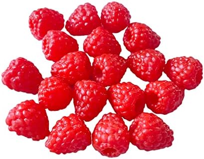 20pcs Artificial Raspberry Realistic Red Decoration Props