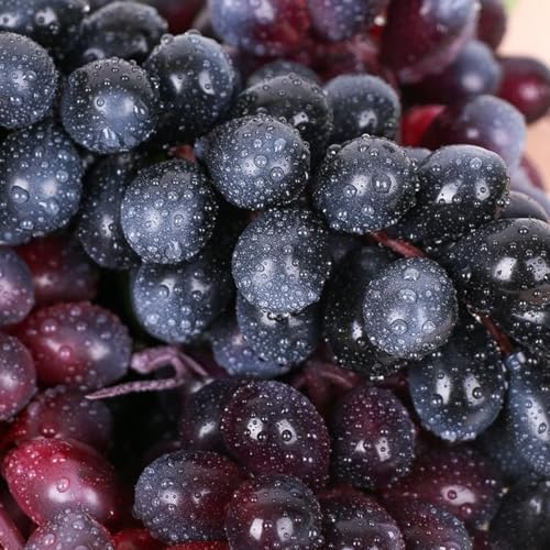 Tyoxlo 10 Bunches Artificial Grapes Decorations