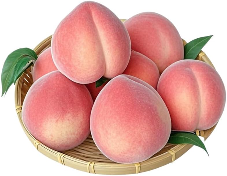 Jilukibo Realistic Artificial Peach Set of 6