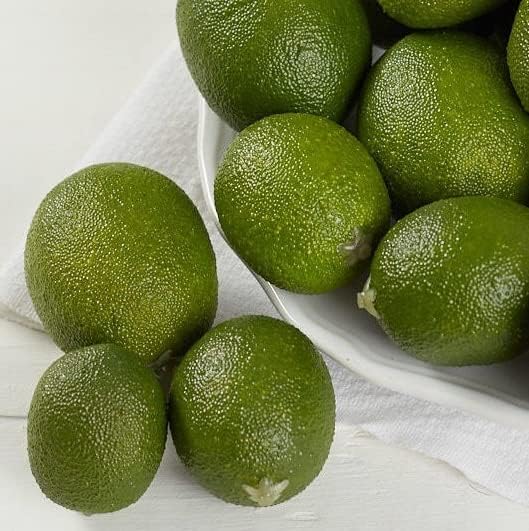 Factory Direct Craft Artificial Limes Set of 32