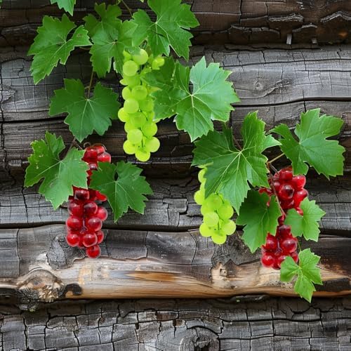 4 Bunches Realistic Artificial Grapes for Decor