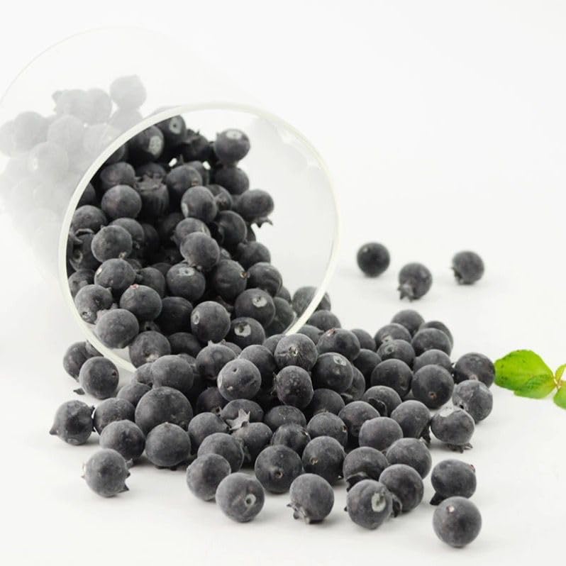 Rikyo 50 Piece Artificial Blueberries for Decor