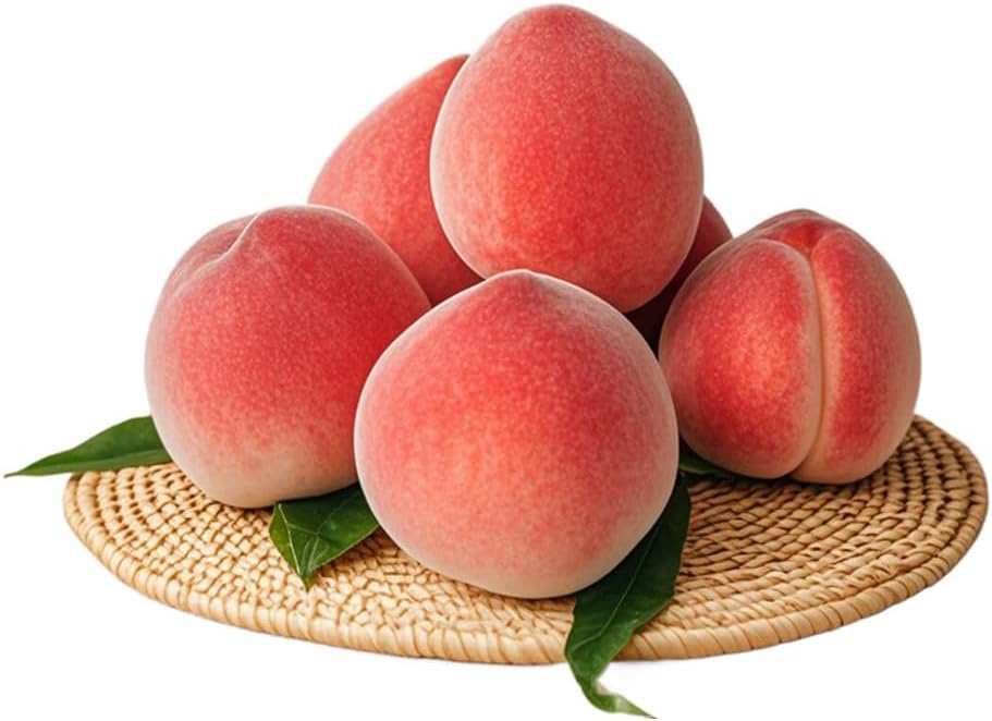 Jilukibo Realistic Artificial Peach Set of 6