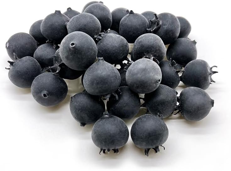 Aliotech 25pcs Artificial Blueberries for DIY Craft Decoration