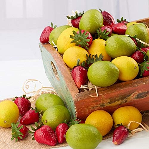 Factory Direct Craft Artificial Fruit Pack of 48