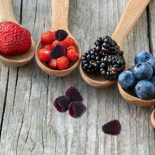 Alasum Artificial Raspberry 16PCS Lifelike Plant Decor Photography Props