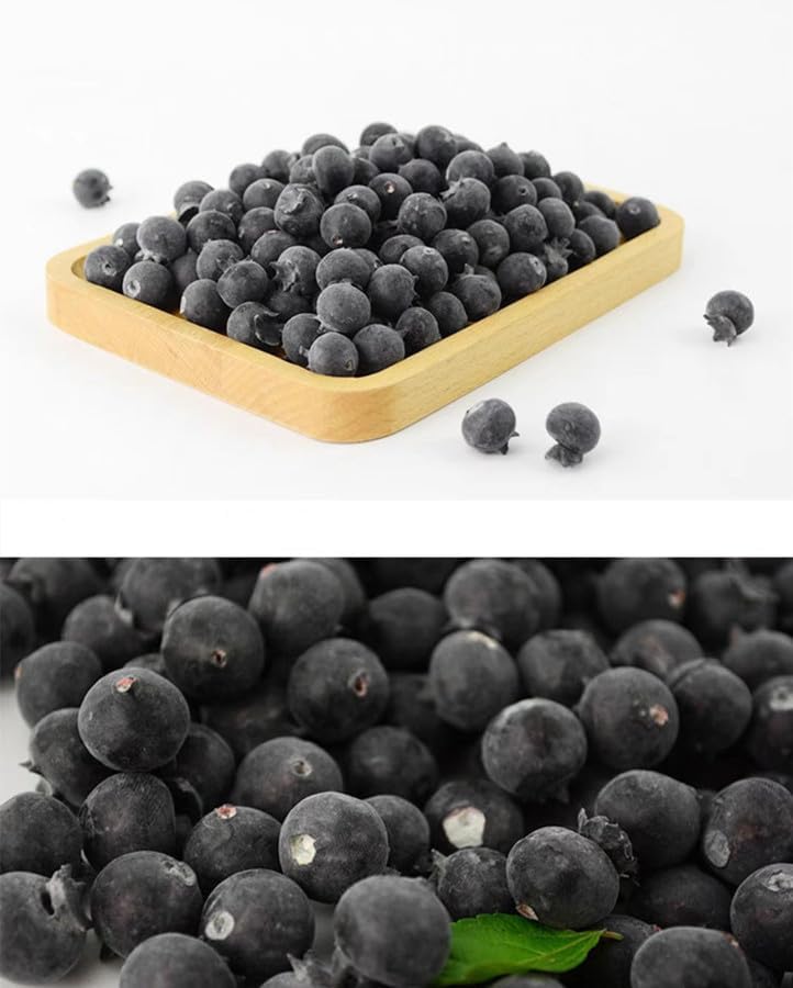Rikyo 50 Piece Artificial Blueberries for Decor