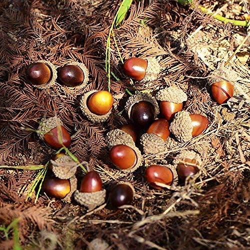 Udefineit 100PCS Artificial Mini Acorns for Decor