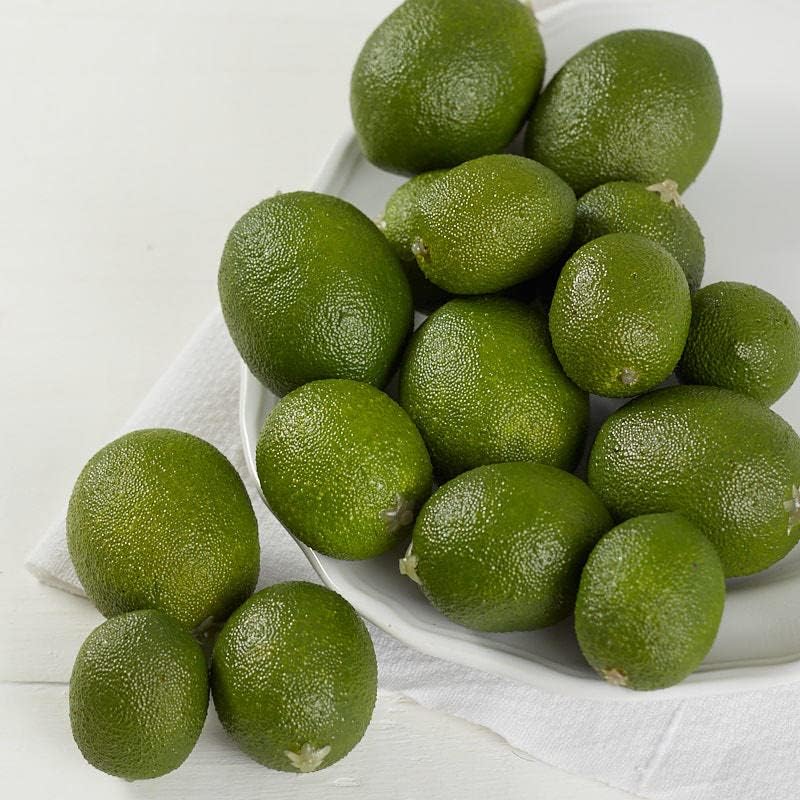Factory Direct Craft Artificial Limes Set of 32