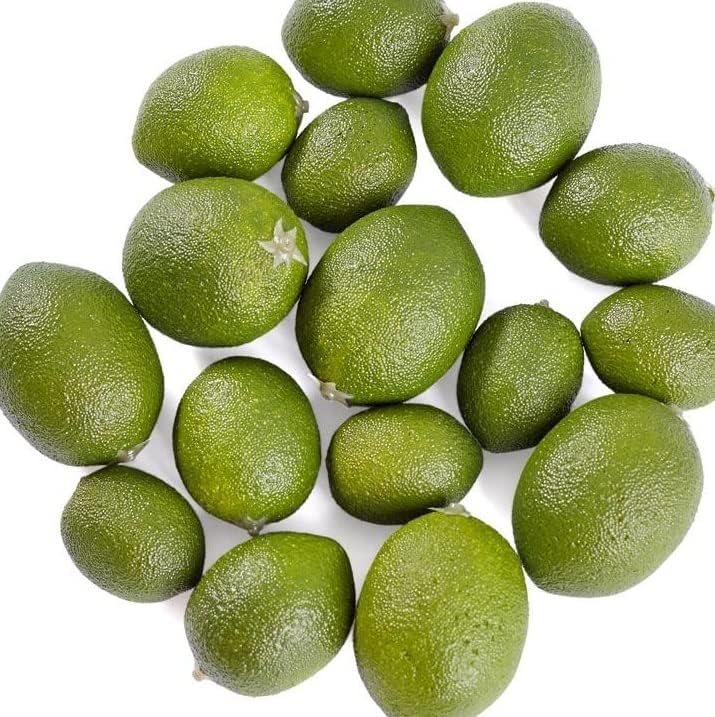 Factory Direct Craft Artificial Limes Set of 32