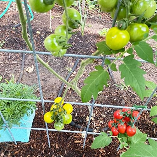 Yueton 2 Strings Artificial Cherry Tomatoes Realistic Decoration
