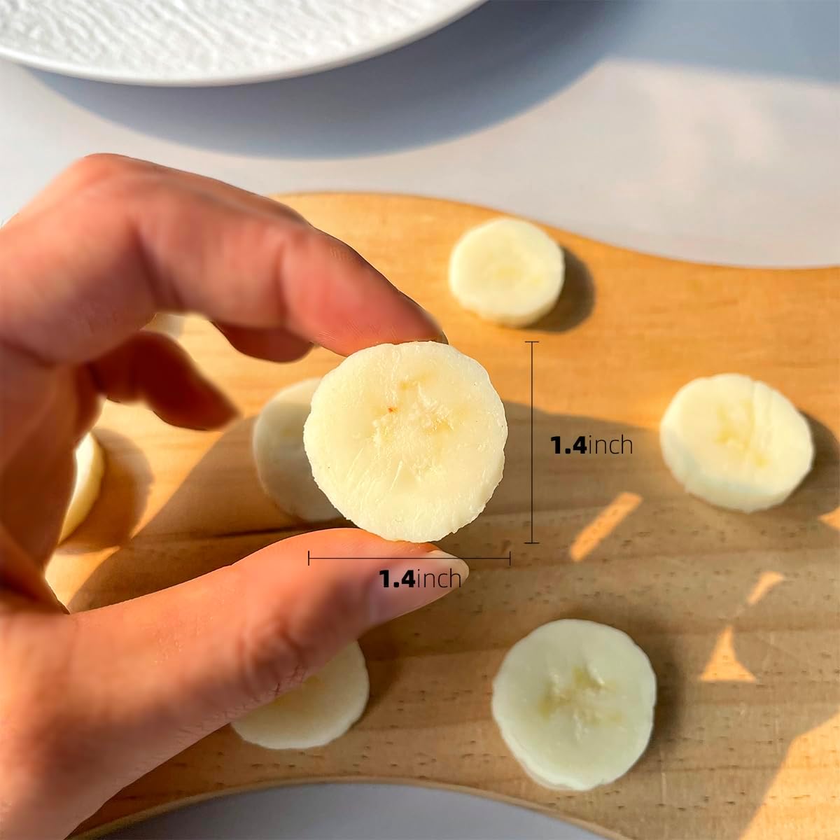 Realistic Artificial Fruit Slices Display Set