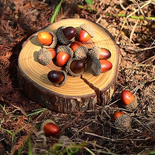 Wonuu 100 Piece Craft Acorn Decor Set