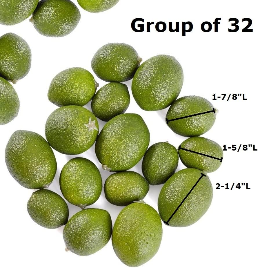 Factory Direct Craft Artificial Limes Set of 32