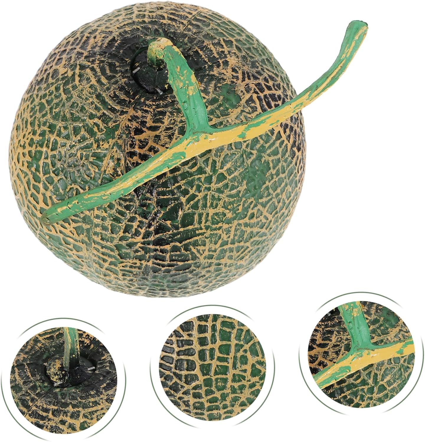 Realistic Artificial Cantaloupe Model for Home Decor