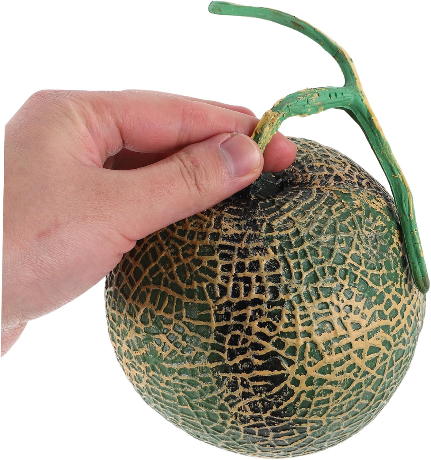 Realistic Artificial Cantaloupe Model for Home Decor