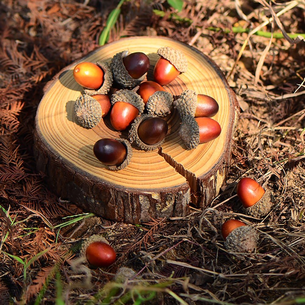 Wonuu 100 Piece Craft Acorn Decor Set