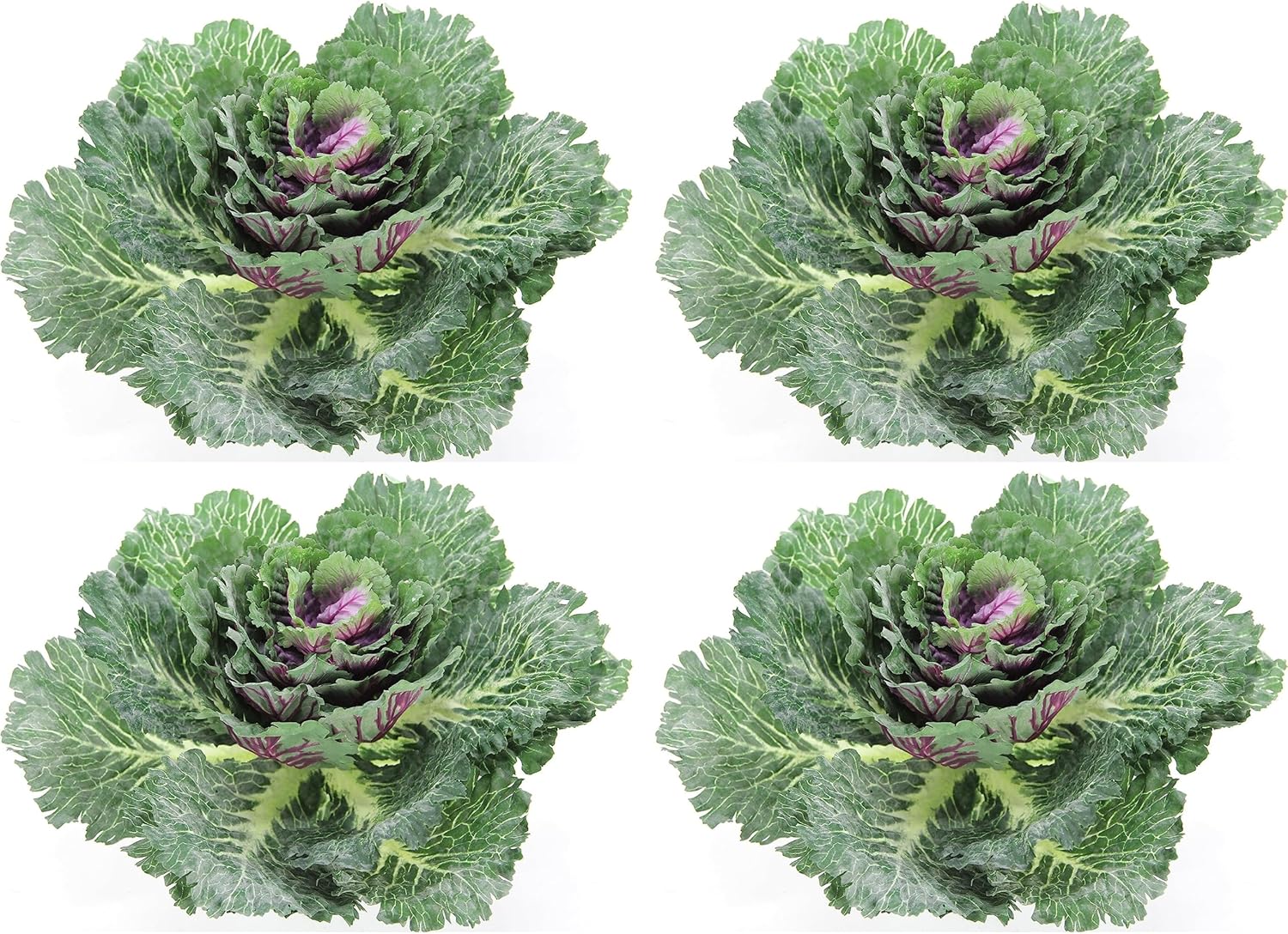 Admired By Nature Artificial Cabbage Set